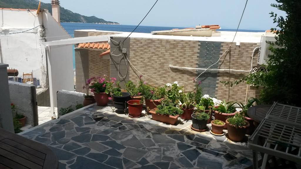 Green Hill Seaside Studios * Kokkari
